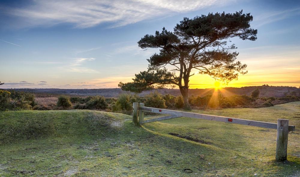 The Knightwood Oak A Luxury King Size En-Suite Space - Lymington New Forest With Totally Private Entrance - Key Box Entry - Free Parking & Private Outdoor Seating Area - Town ,Shops , Pubs & Solent Way Walking Distance & Complimentary Breakfast Items 외부 사진