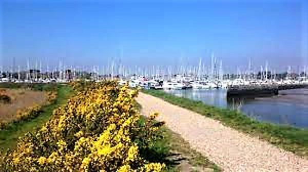 The Knightwood Oak A Luxury King Size En-Suite Space - Lymington New Forest With Totally Private Entrance - Key Box Entry - Free Parking & Private Outdoor Seating Area - Town ,Shops , Pubs & Solent Way Walking Distance & Complimentary Breakfast Items 외부 사진